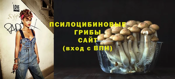 соль ск Алексин