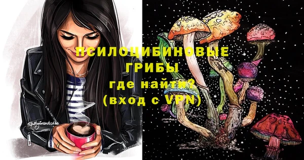 дурь Алексеевка