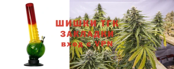 соль ск Алексин