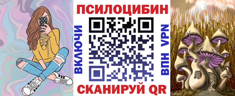 купить наркотик  Чишмы  Псилоцибиновые грибы ЛСД 